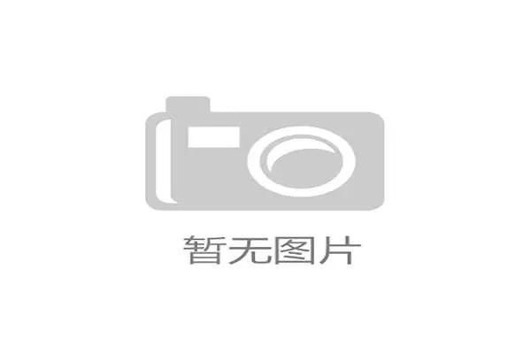 跨境电商平台为何强制推行物理防伪锚点以杜绝非授权周边泛滥？